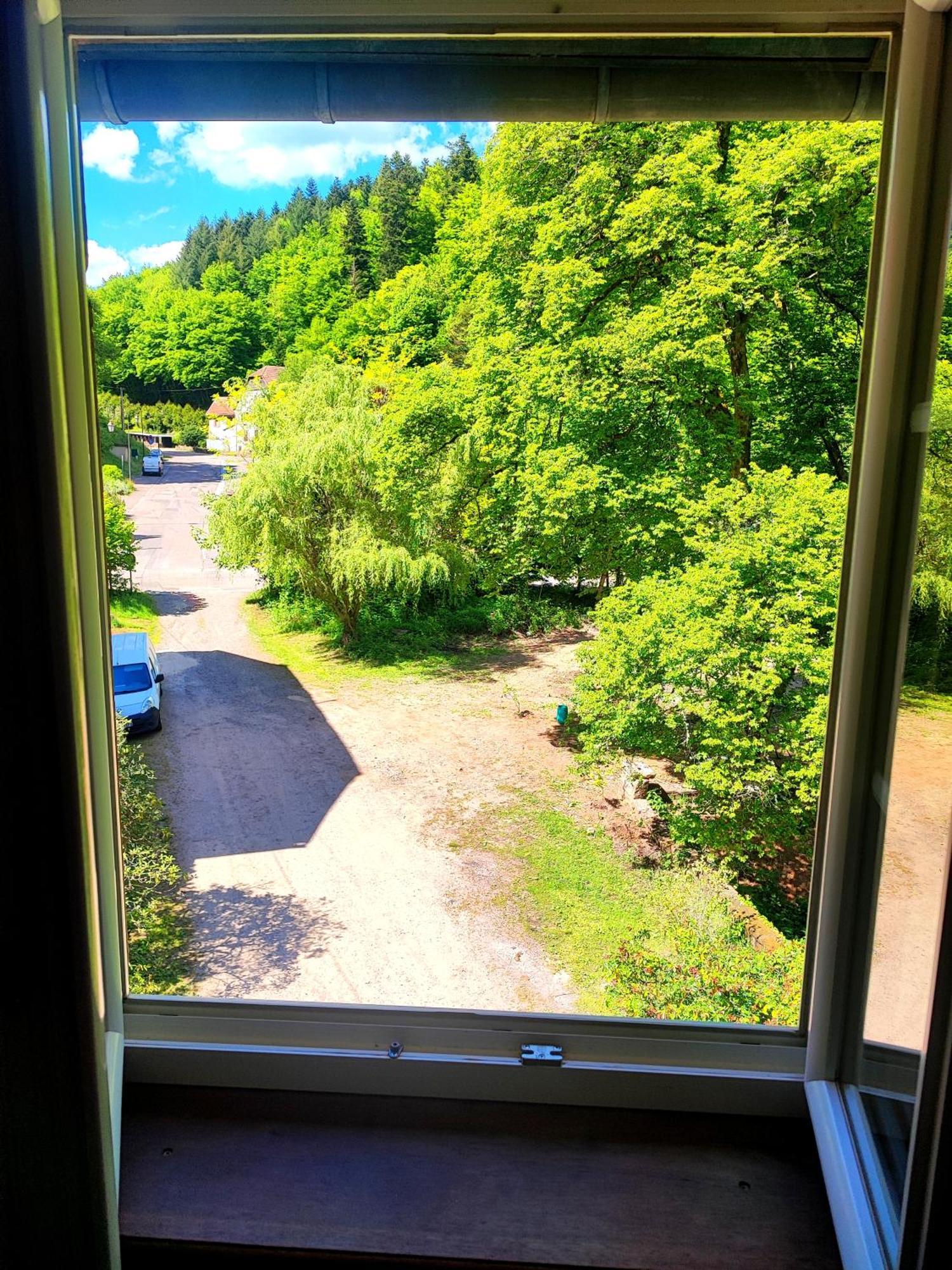 La Demeure Des Forges Apartment Grandfontaine  Bagian luar foto