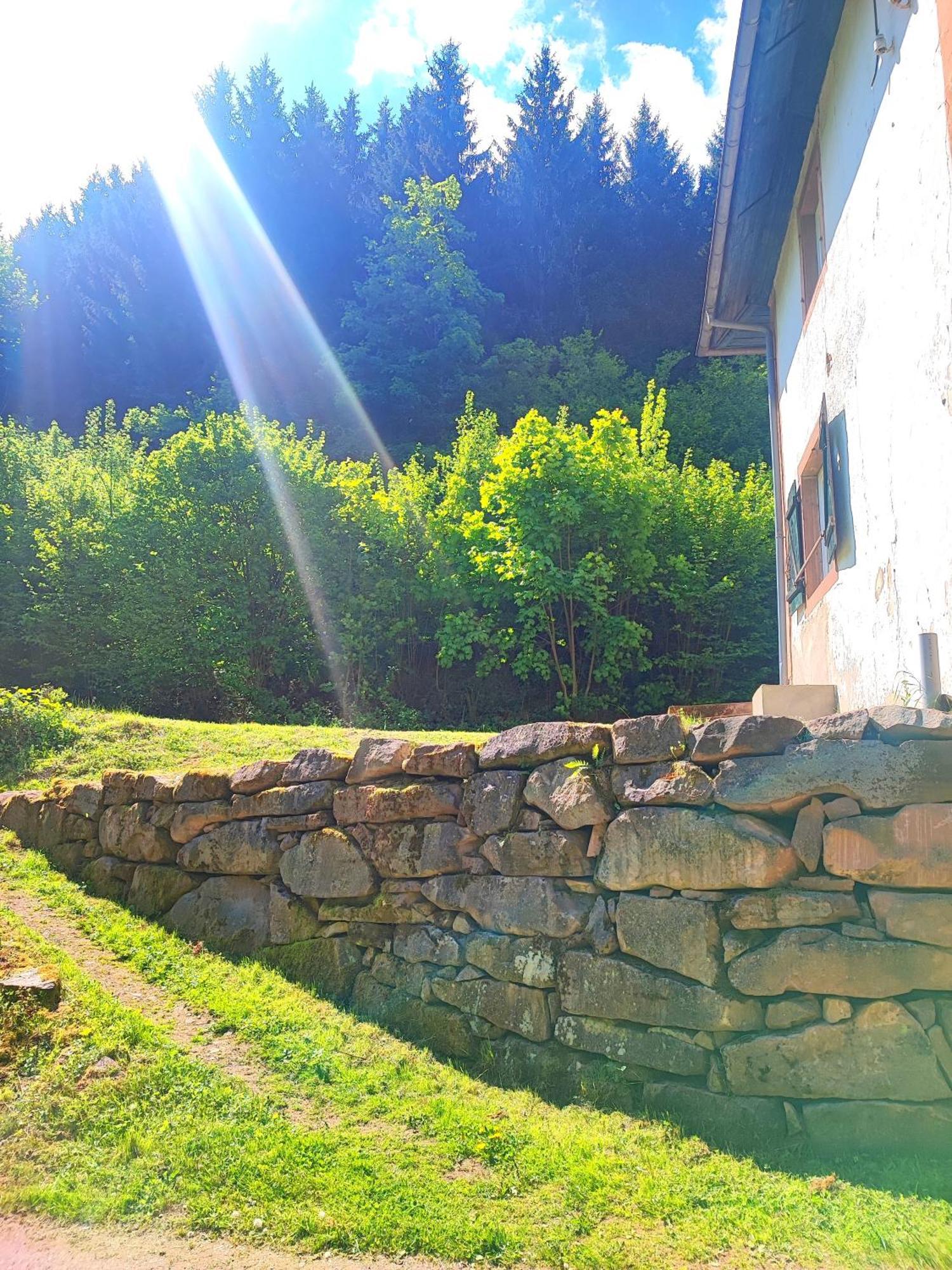 La Demeure Des Forges Apartment Grandfontaine  Bagian luar foto